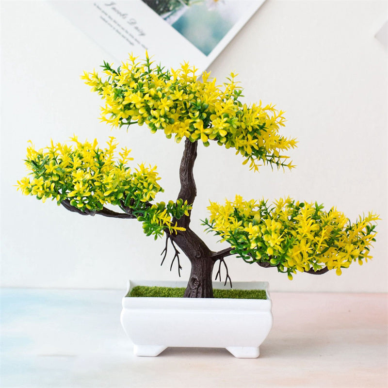 Bonsai