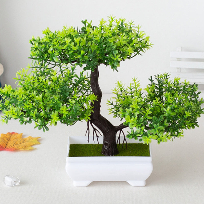 Bonsai