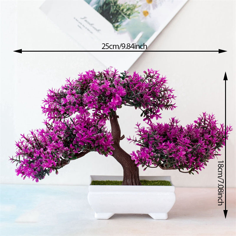 Bonsai