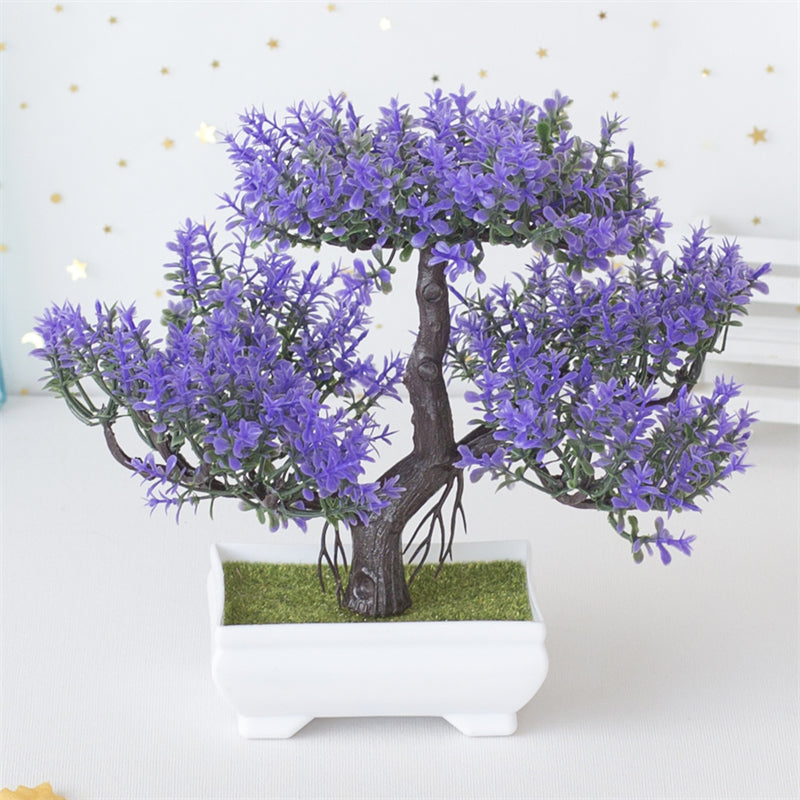 Bonsai