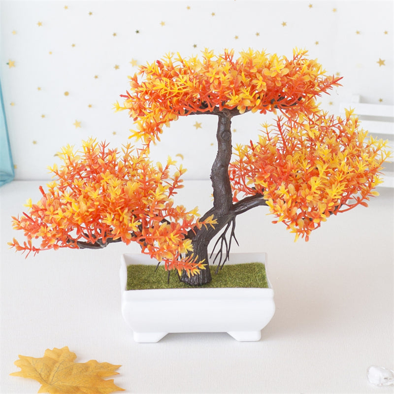 Bonsai