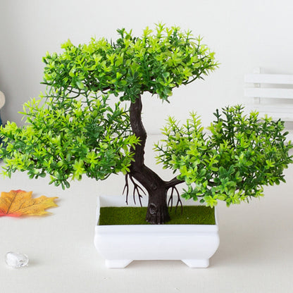 Bonsai