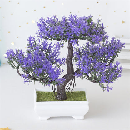 Bonsai